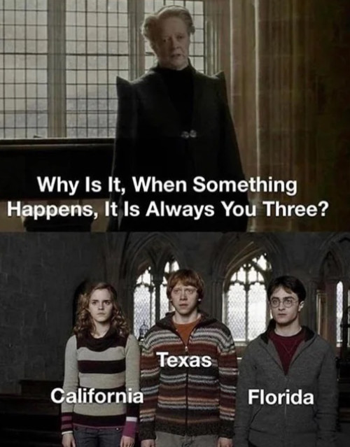 Prof. McGonagall says:
'Why Is It, When Something Happens, It Is Always You Three?' and Harry, Ron and Hermione are labeled 'Florida,
California, Texas'