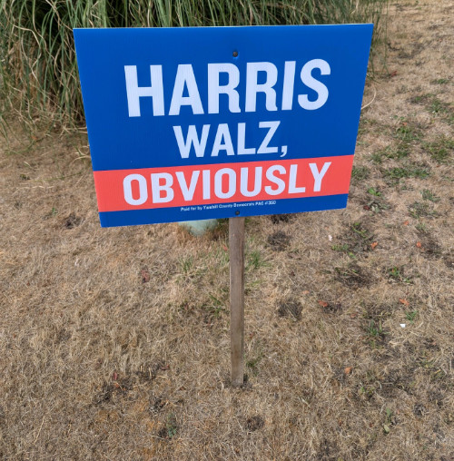 It says 'Harris/Walz, obviously