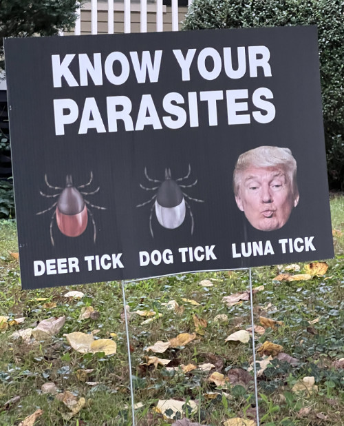 It is a picture of two bugs
and Donald Trump, and says: 'Know your Parasites: Deer Tick, Dog Tick, Luna-Tick'