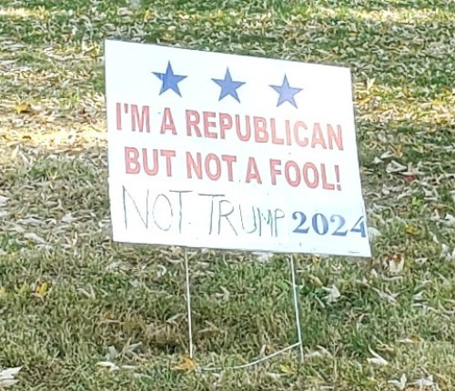 It says 'I am a Republican not a fool. Not Trump 2024'