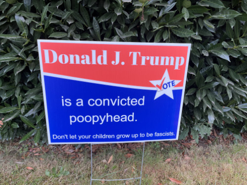 Donald J. Trump is a
convicted poopyhead; Don't let your children grow up to be fascists