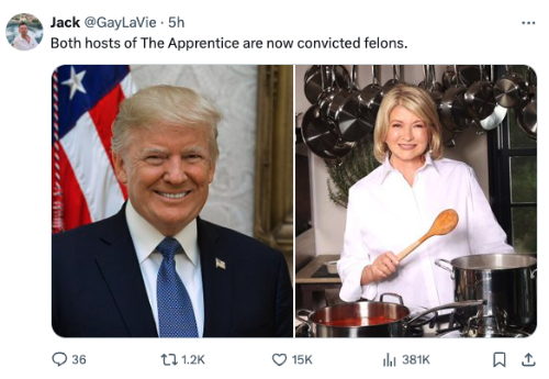 'Both hosts of 'The Apprentice' are now convicted felons,' along with pictures of Trump and Martha Stewart