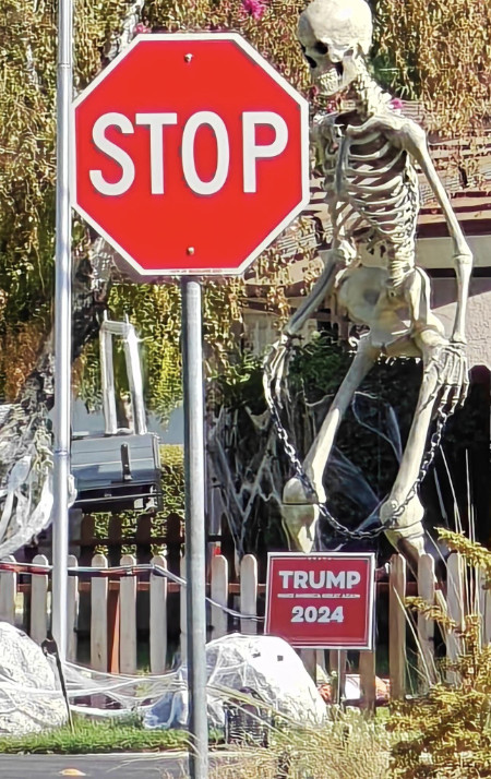 From the angle being photographed,
you can see a stop sign, a skeleton, and a sign that says 'Trump-Vance.' So, the net effect is something like: 'Stop those
ghouls Donald Trump and J.D. Vance'