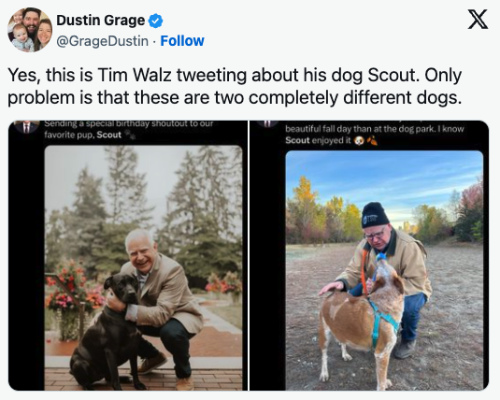 Two tweets from Tim Walz, 
showing him with two different dogs, one black and one yellow. The comment, from the right-winger who put the two tweets
together, is 'Yes, this is Tim Walz tweeting about his dog Scout. Only problem is that these are two completely
different dogs.'