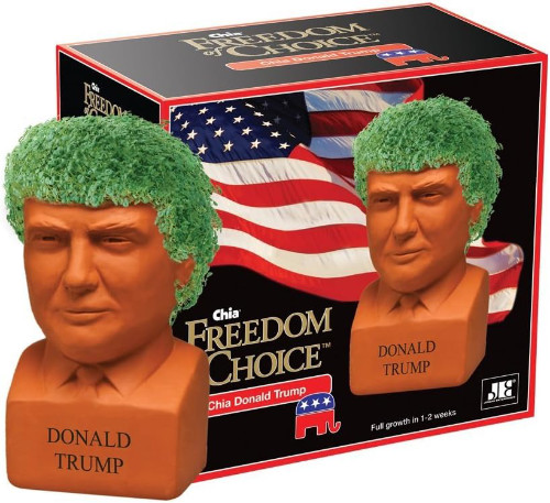 A chia pet Donald Trump head