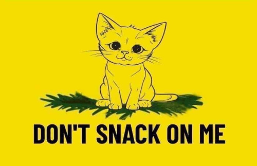 It's a parody of the
'Don't Tread on Me' flag that has a kitten and the phrase 'Don't Snack on Me'