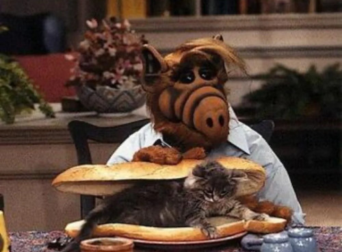 Alf the alien, from the
1980s show Alf, with a live cat on a hoagie roll