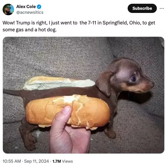 A live dachshund 
puppy wearing a hot dog bun