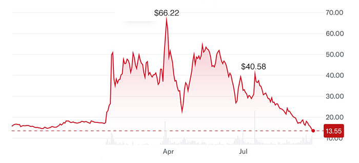 One year of DJT stock price