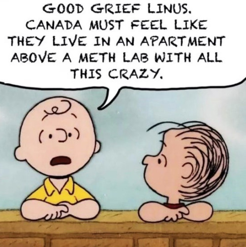 A Peanuts cartoon altered
so that Charlie Brown is lamenting 'GOOD GRIEF LINUS. CANADA MUST FEEL LIKE THEY LIVE IN AN APARTMENT ABOVE A METH LAB
WITH ALL THIS CRAZY.'