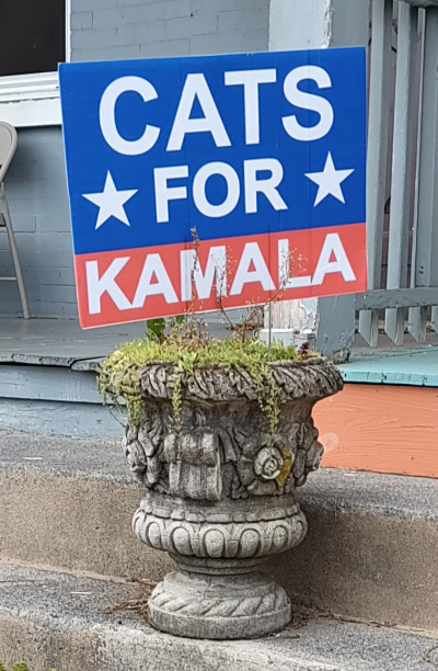 It says 'Cats for Kamala'