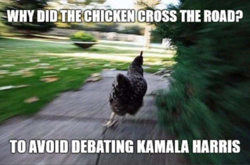 A picture of a chicken with 
the words: 'Why did the chicken cross the road? To avoid debating Kamala Harris again.