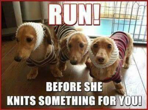 Three brown dachshunds in knitted sweaters and caps,
along with the caption 'RUN! BEFORE SHE KNITS SOMETHING FOR YOU!