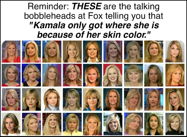 It says 'Reminder: THESE
are the talking bobbleheads at Fox telling you that 'Kamala only got where she is because of her skin color.'' and is
accompanied by a bunch of mugshots of blonde, white women