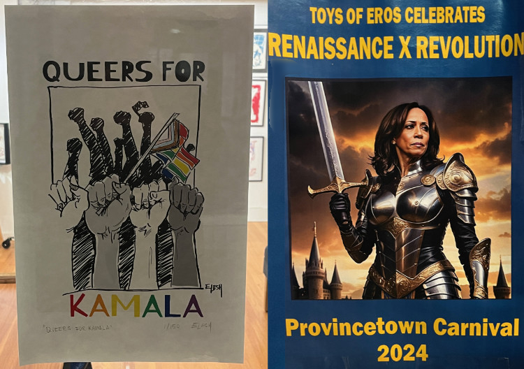 One sign says 'Queers for Kamala' and
another has her clothed in form-fitting fantasy-novel-type armor.