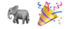 An elephant and a party hat