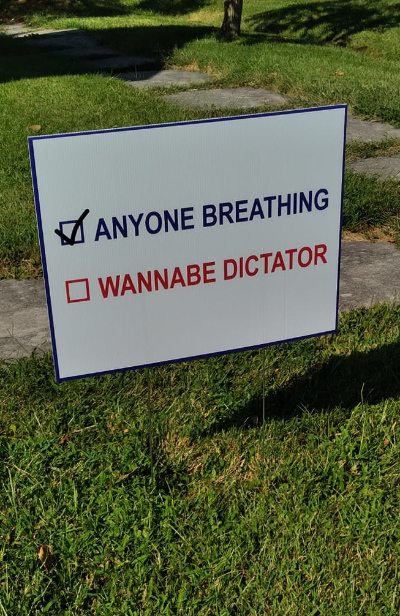 It is a faux ballot that has 'Anyone Breathing' checked, and 'Wannabe Dictator' unchecked.