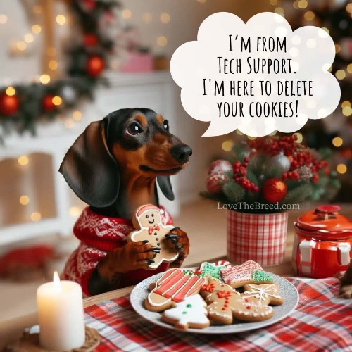 A dachshund in a holiday
sweater says: 'I'M FROM TECH SUPPORT I'M HERE TO DELETE YOUR COOKIES!' and is holding some Christmas cookies.