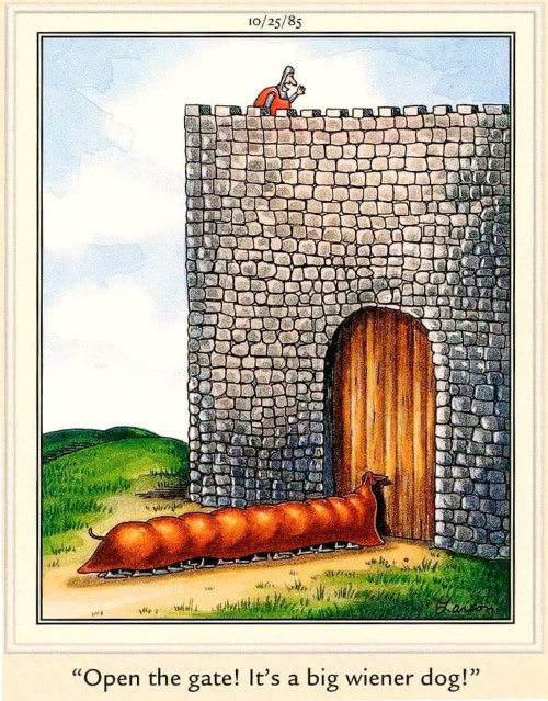 A bunch of dogs, with a
blanket thrown over them so they look like one big dachshund, wait outside a castle while a guard says: 'Open the gate! It's a big wiener dog!'