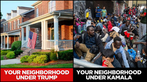 It shows your neighborhood
under Trump as a nice, suburban place and your neighborhood under Harris as chock-full of shady-looking BLack people