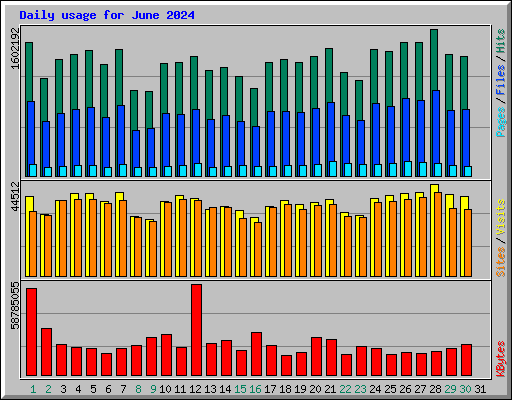 Daily usage for June 2024