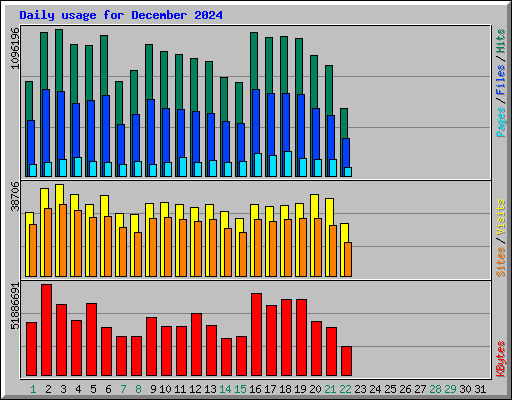 Daily usage for December 2024