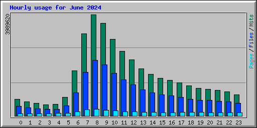 Hourly usage for June 2024