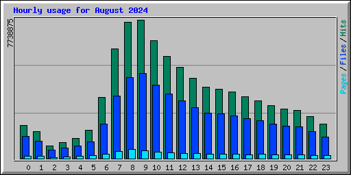 Hourly usage for August 2024