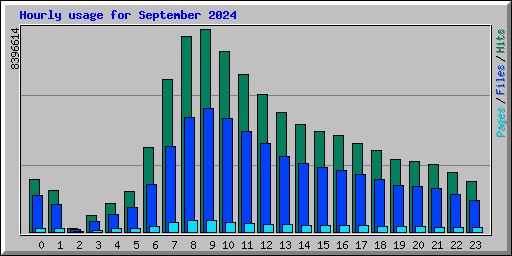 Hourly usage for September 2024