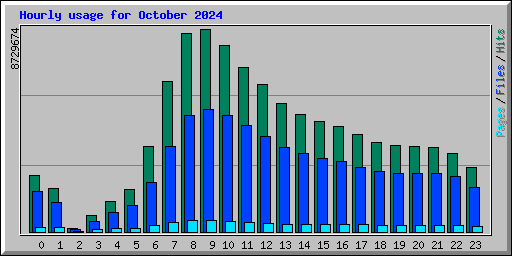 Hourly usage for October 2024