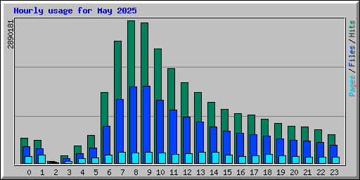 Hourly usage for May 2025