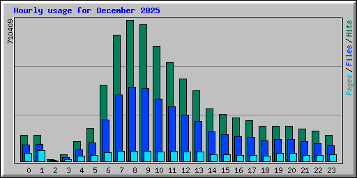 Hourly usage for December 2025
